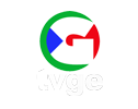 TVGE Live